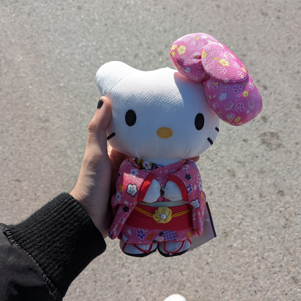 Sanrio Hello Kitty in Floral Pink Attire